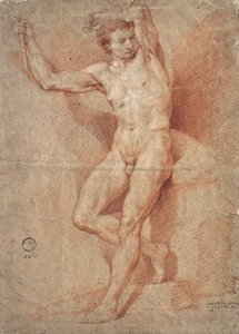 立っている男性のヌード